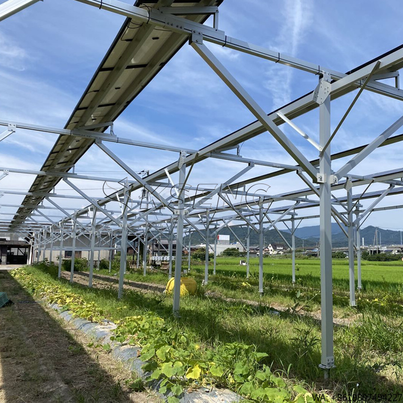 Sustainable Agriculture/Farming - Novos Suportes de Montagem Solar em