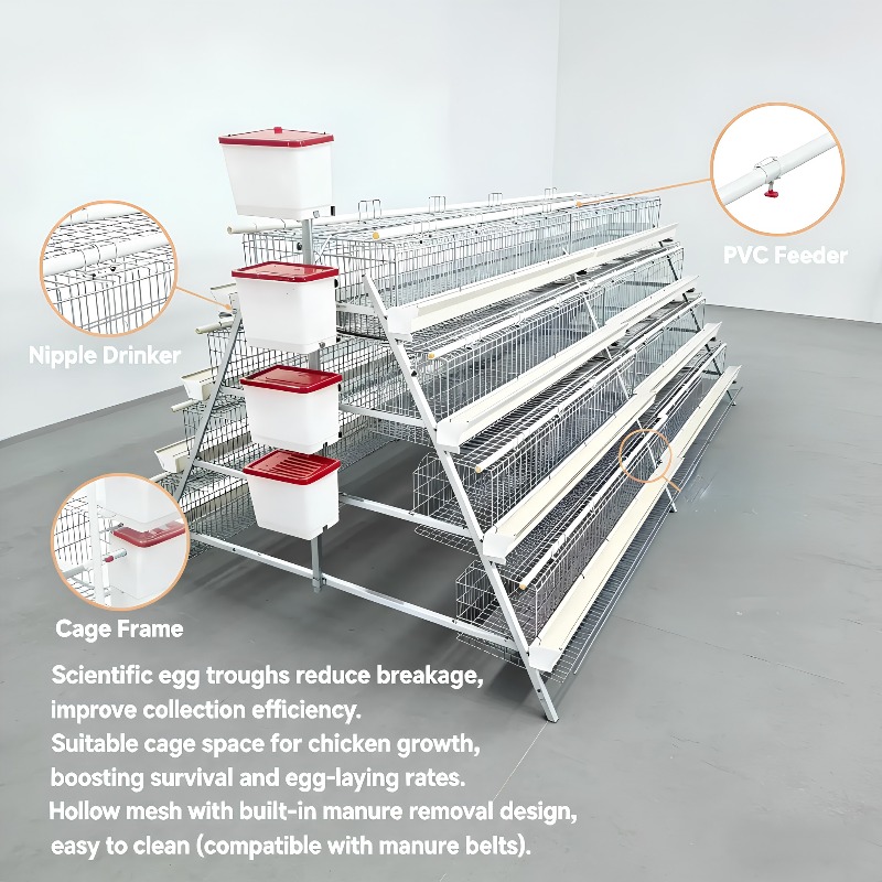   Gaiola de Bateria Tipo New A - Farming Africa avaliação e preço