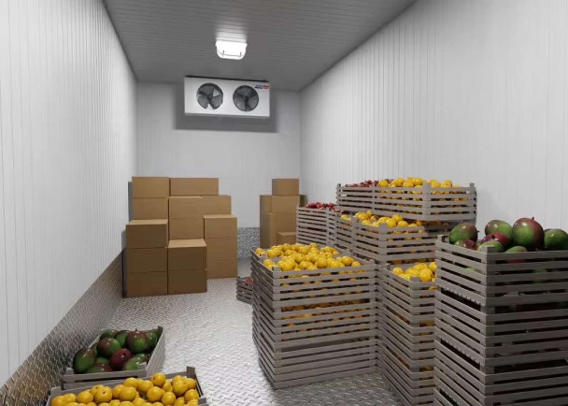 Câmara Frigorífica Solar Portá - Farming Africa avaliação e preço