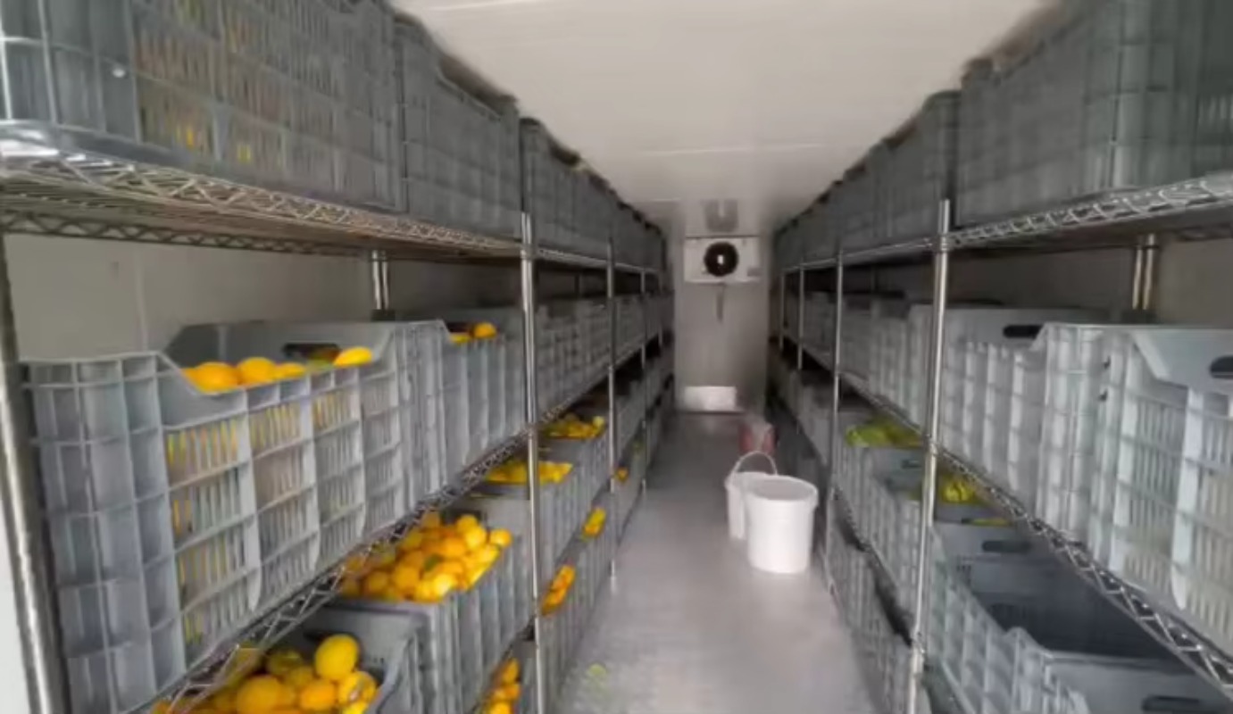 Câmara Frigorífica Solar Portá - Farming Africa avaliação e preço